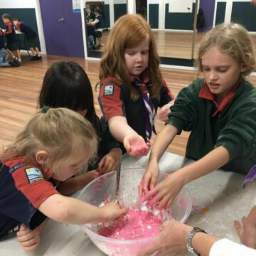 Investigating in joeys