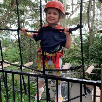 Joeys go on Tree Adventures @ Taronga