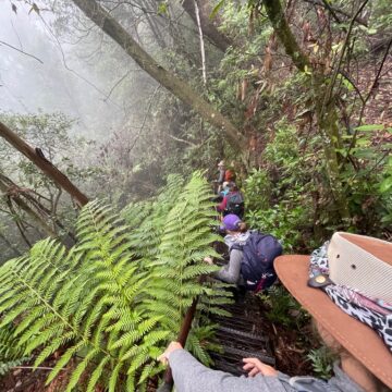 Trekking Mt Solitary