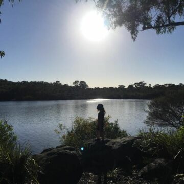 Evening bushwalk when camping with the Joeys at Manly Dam