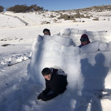 Almost complete. Scouts building igloos and other snow shelters.
