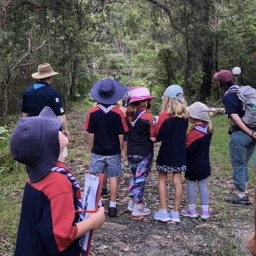 Bird Spotting with the Joeys