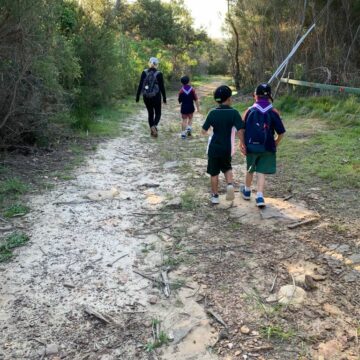 Local Bushwalks with the Joeys