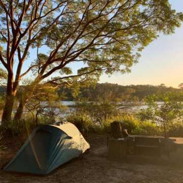 Joey Camp at Manly Dam