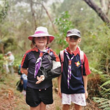 Local Bushwalks with the Joeys