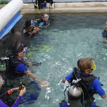 Scout scuba diving lessons